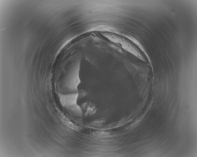 X0000078030783200611101912