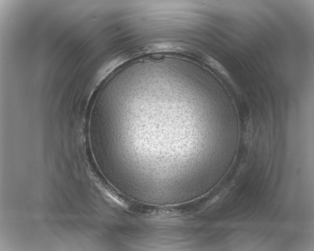 X0000078030786200611101911
