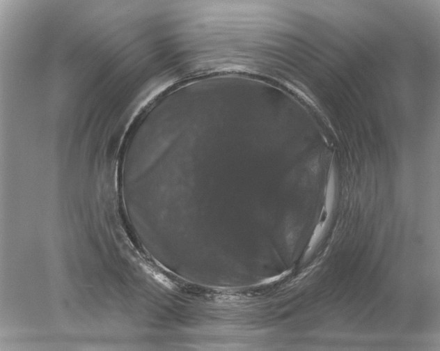 X0000078030790200611101911