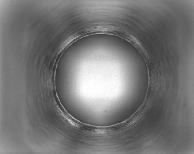 X0000078030794200611101911