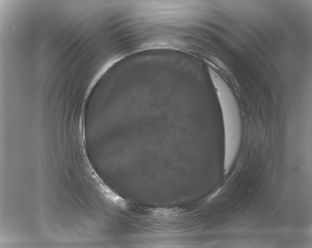 X0000078030796200611101911