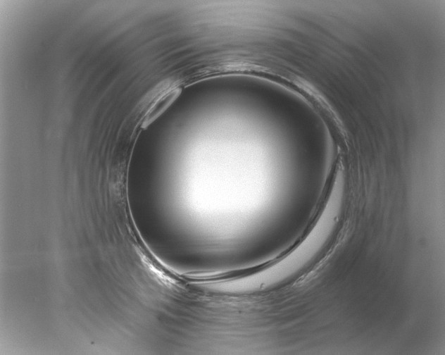 X0000078030801200611101911
