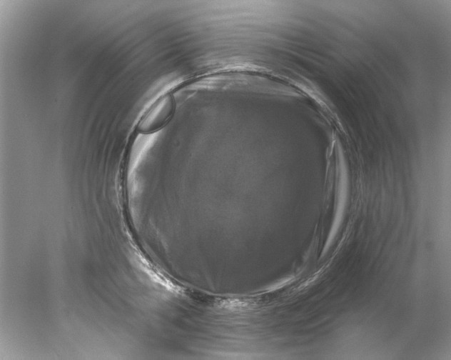 X0000078030806200611101911