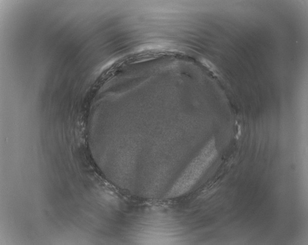 X0000078030822200611101910