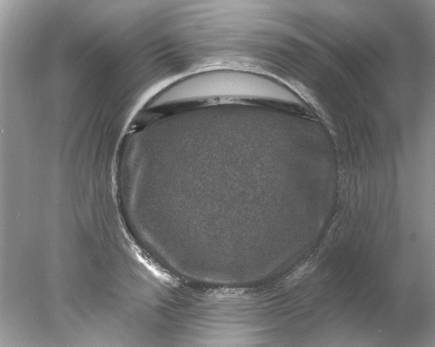 X0000078030846200611101911