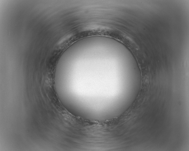 X0000078030869200611101910