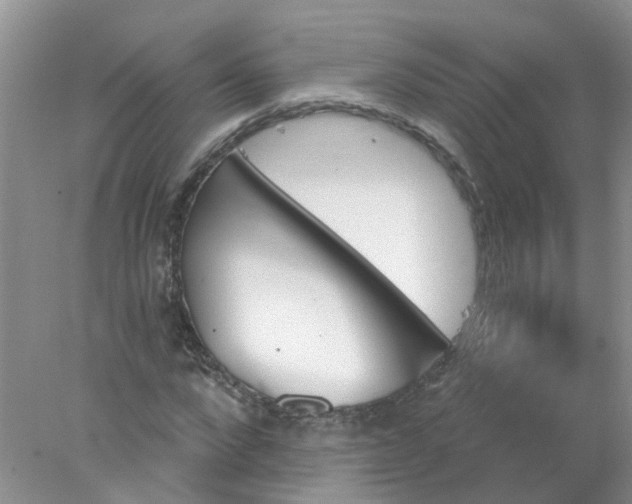 X0000078030872200611101910