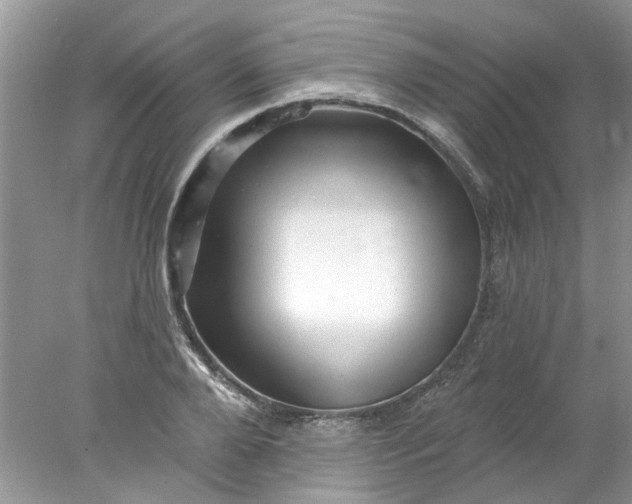 X0000078030888200611101910