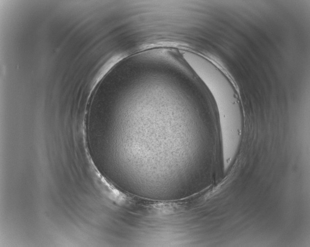 X0000078030906200611101909
