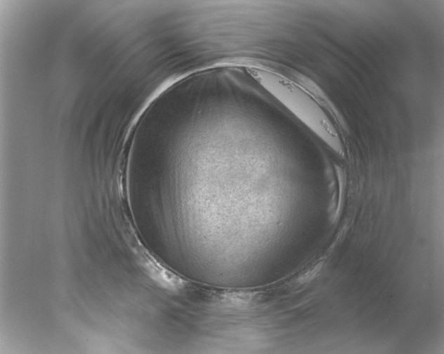 X0000078030908200611101909
