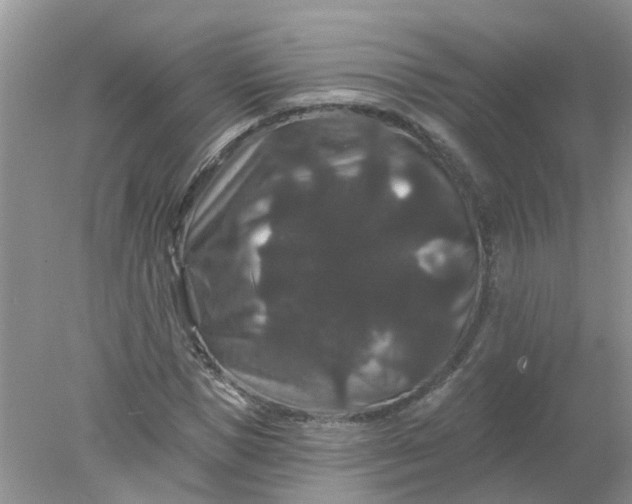 X0000078030921200611101909