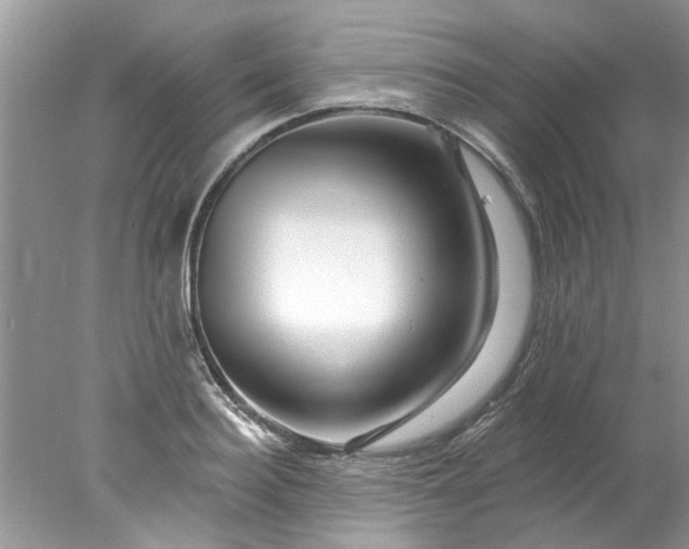 X0000078030940200611101909