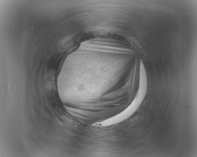 X0000078030964200611101908