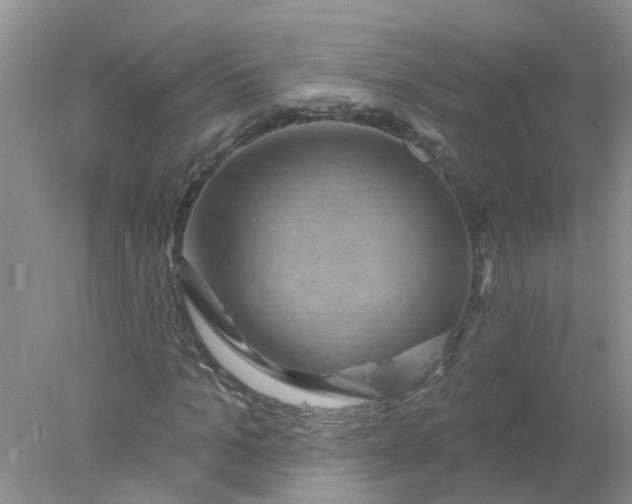 X0000078030965200611101908