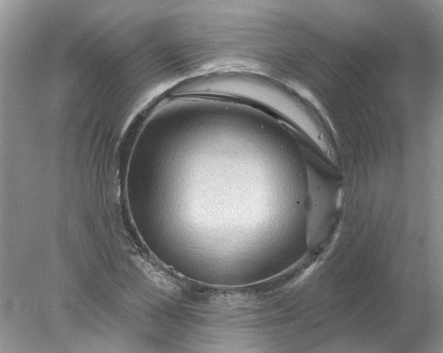 X0000078030973200611101908