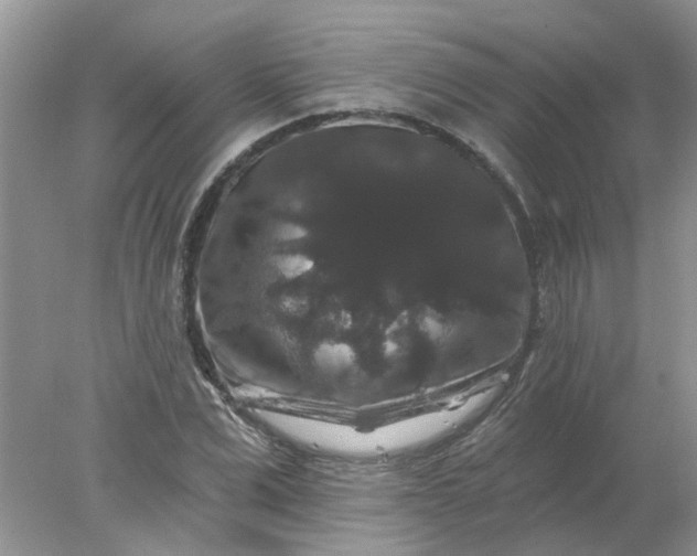 X0000078030975200611101908
