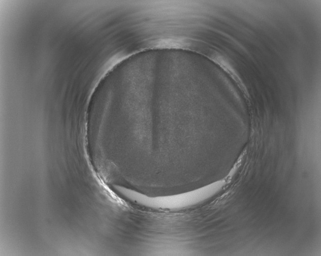 X0000078030992200611101908
