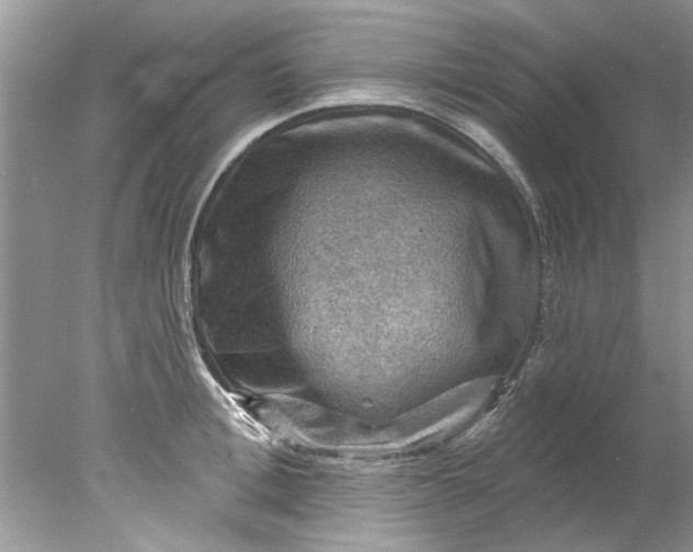 X0000078030996200611101908