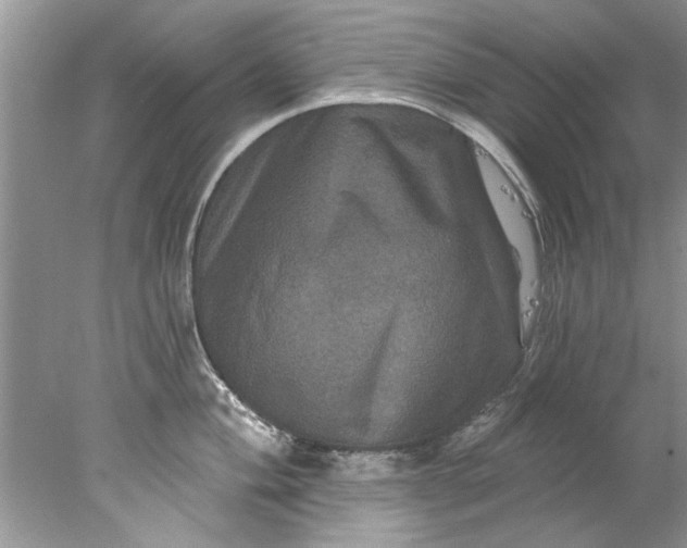 X0000078031004200611101908