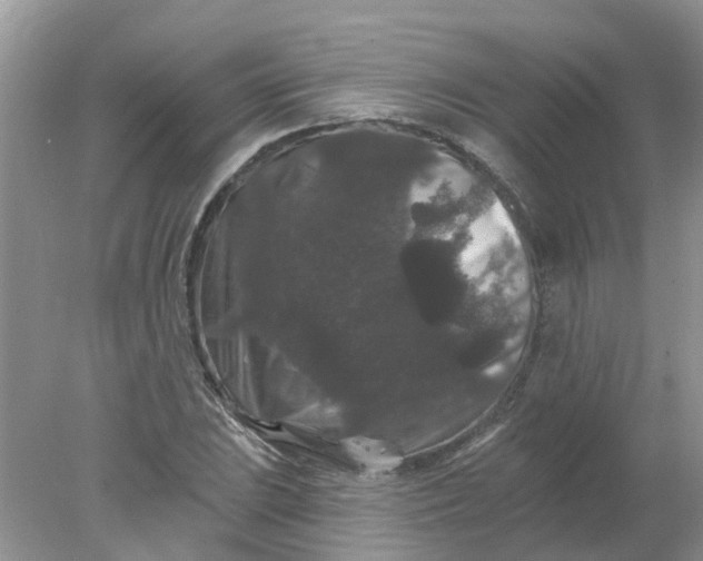 X0000078031023200611101907