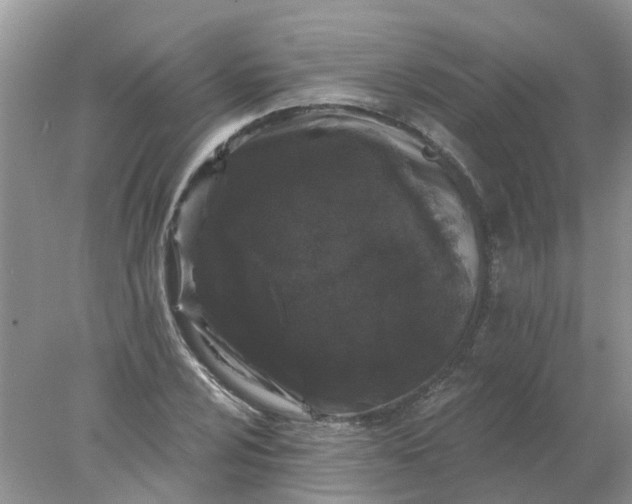 X0000078031024200611101907