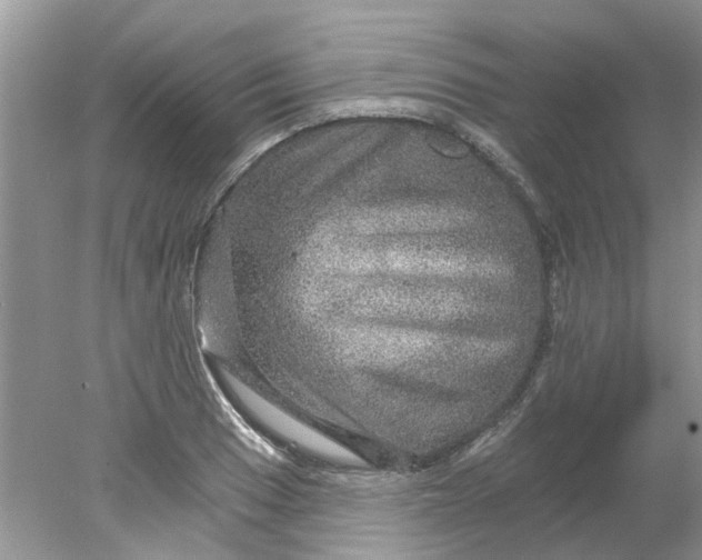 X0000078031033200611101907