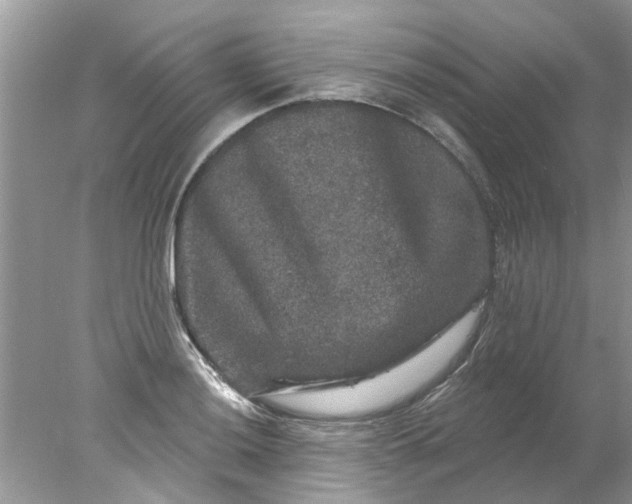 X0000078031036200611101907