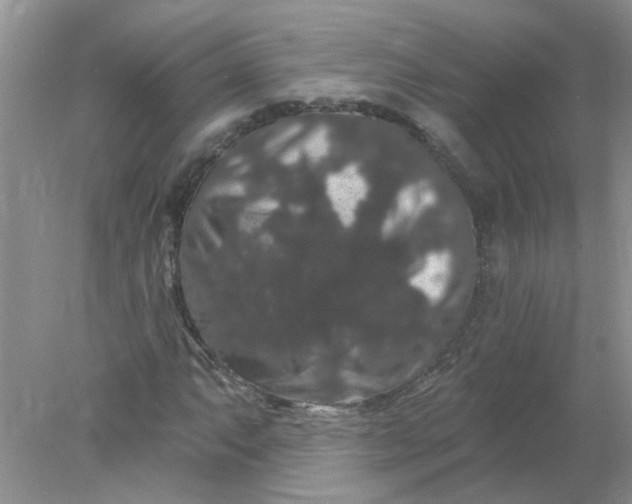 X0000078031063200611101907