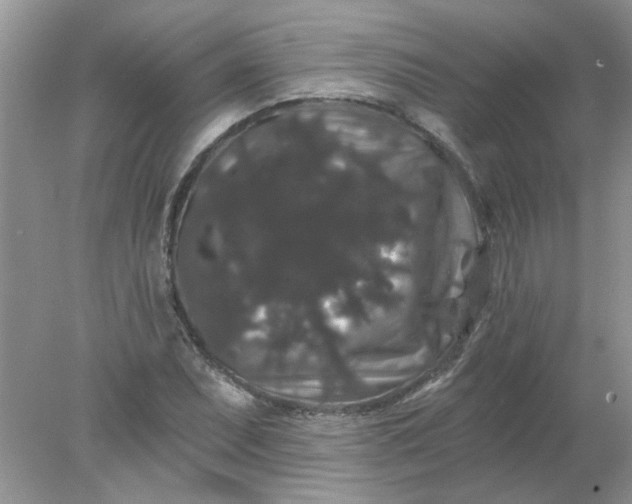 X0000078031071200611101907