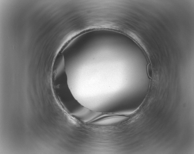 X0000078031093200611101906