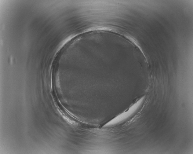 X0000078031127200611101906