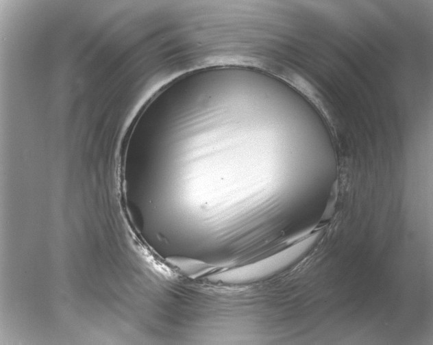 X0000078031140200611101906