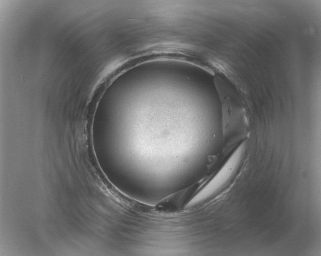 X0000078031164200611101905