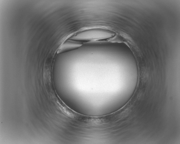 X0000078031177200611101905