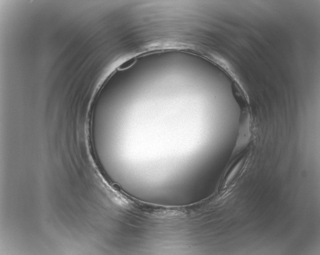 X0000078031187200611101905