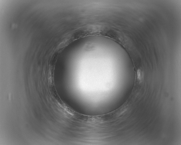 X0000078031203200611101904