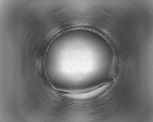 X0000078031257200611101903