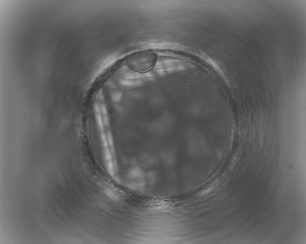 X0000078031263200611101903