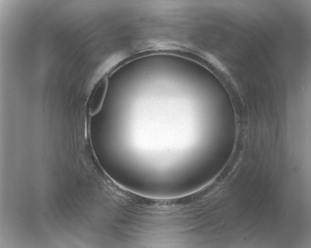 X0000078031269200611101903