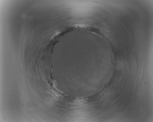 X0000078031297200611101902