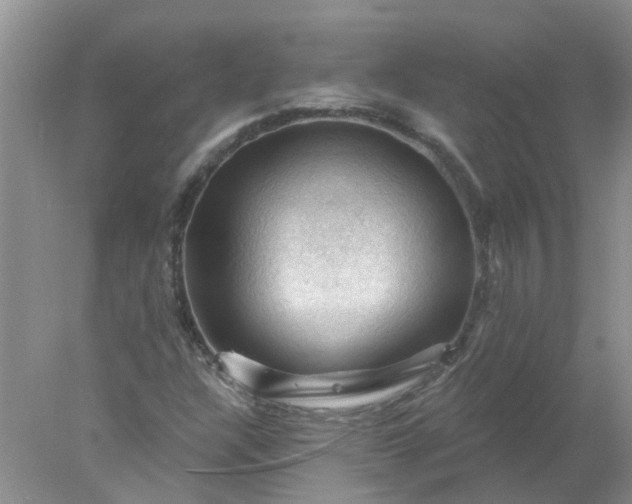 X0000078031304200611101902