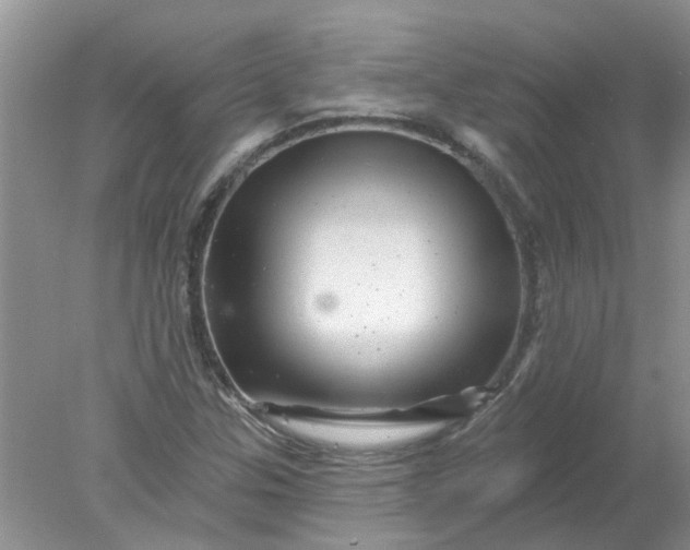 X0000078031307200611101902