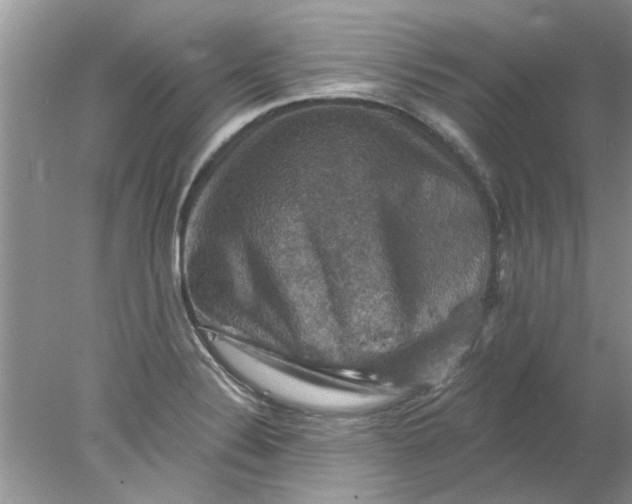 X0000078031324200611101902