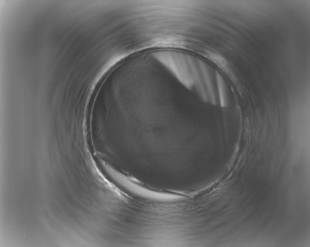 X0000078031331200611101903