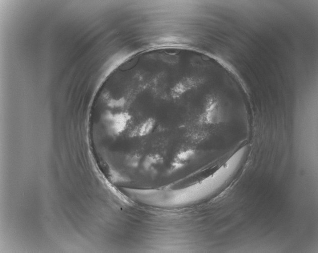 X0000078031333200611101903