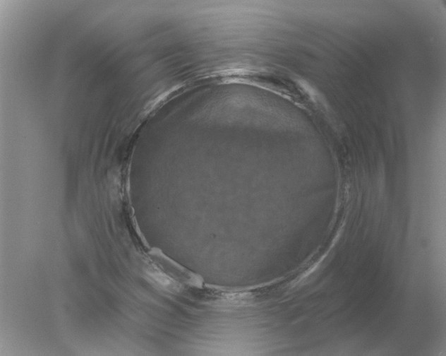 X0000078031353200611101902