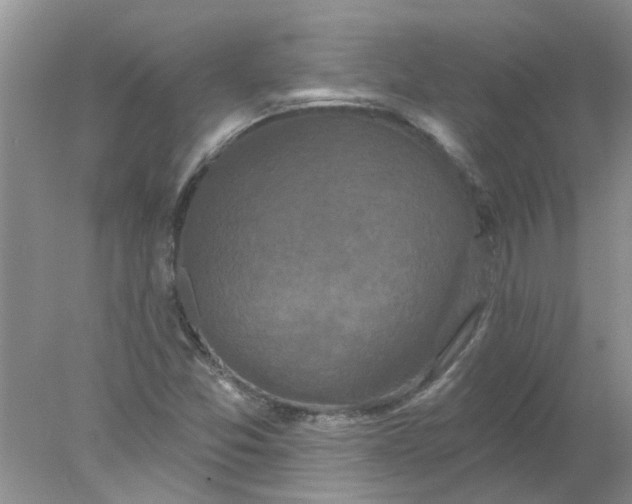 X0000078031357200611101902