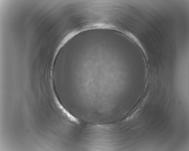 X0000078031381200611101901