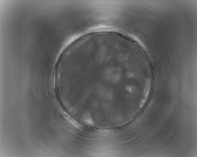 X0000078031413200611101901