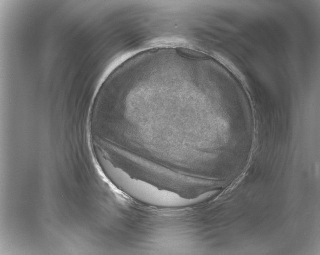 X0000078031440200611101901